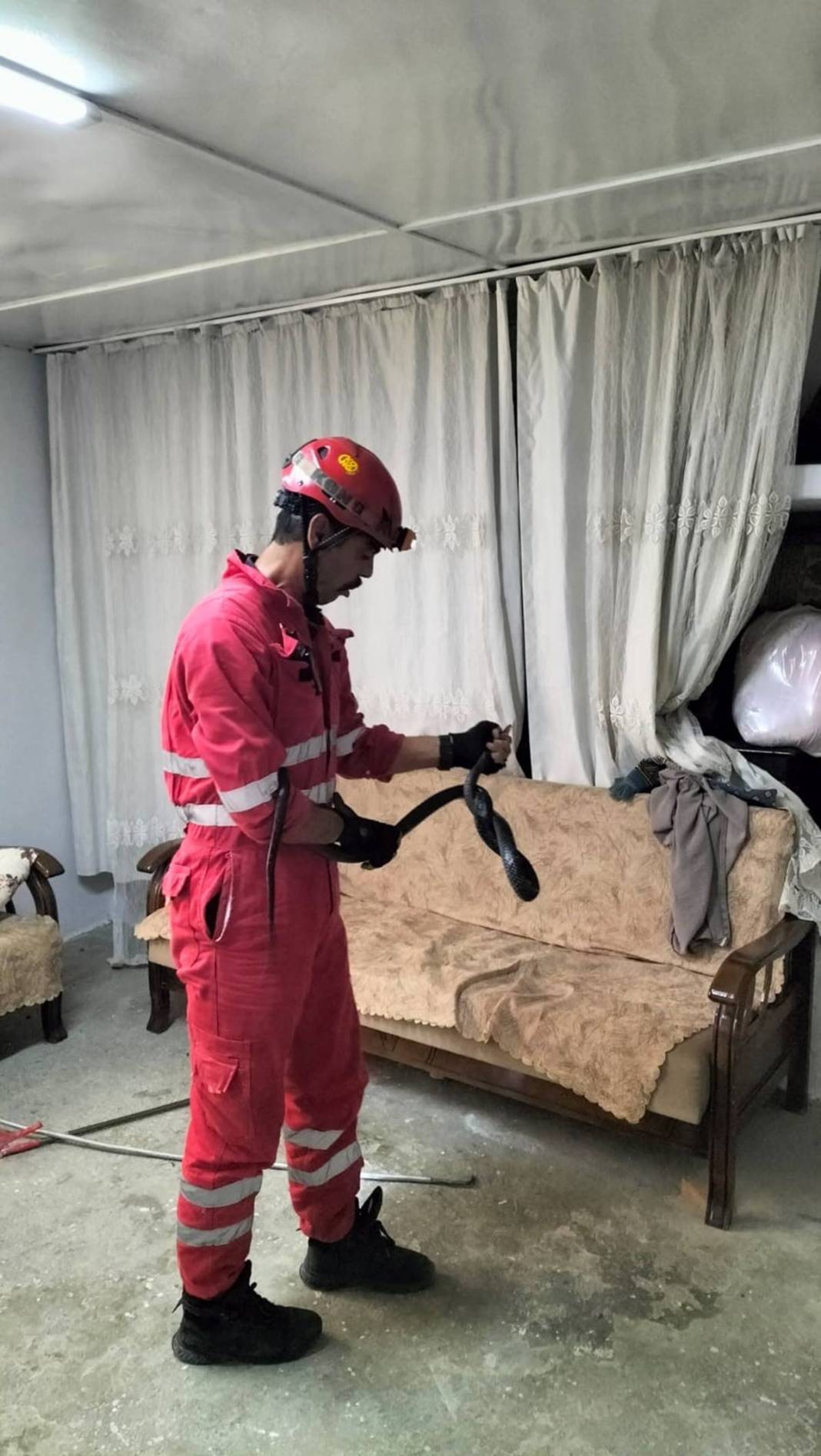 O kentte evlerden yılan fışkırıyor! İtfaiye ekipleri yoğun 'yılan' mesaisi yapıyor 4